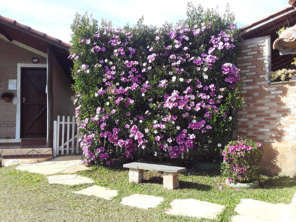 Recanto Das Flores São Tomé das Letras Bagian luar foto