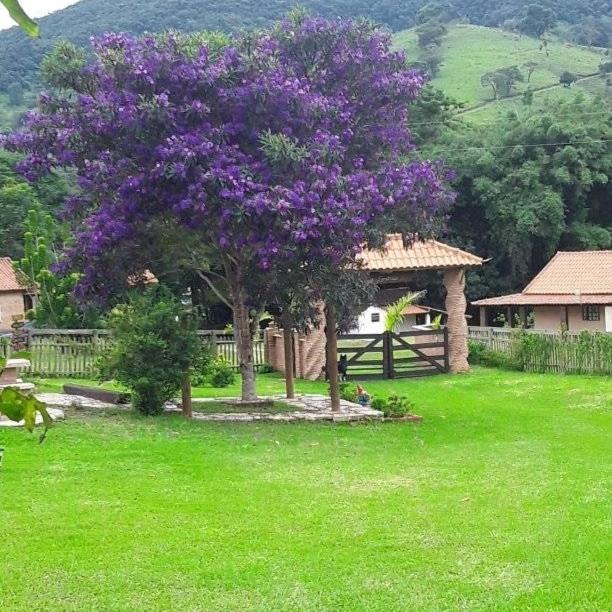 Recanto Das Flores São Tomé das Letras Bagian luar foto