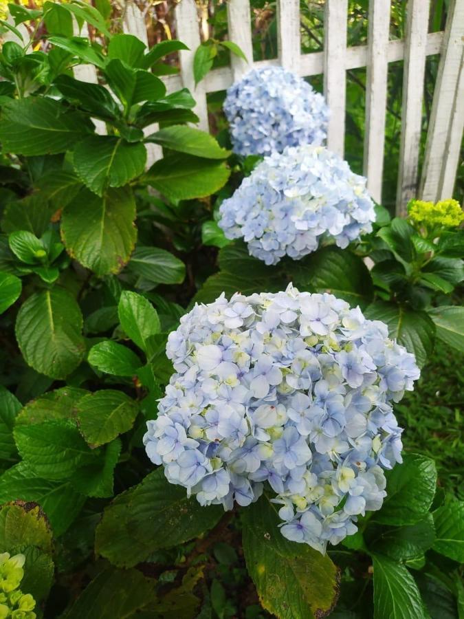 Recanto Das Flores São Tomé das Letras Bagian luar foto