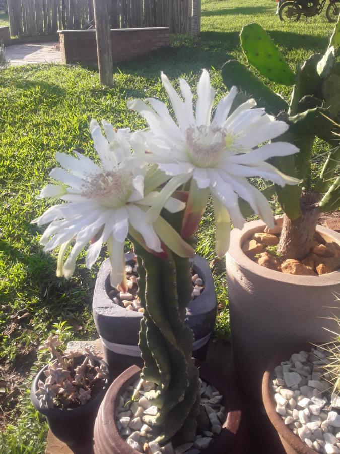 Recanto Das Flores São Tomé das Letras Bagian luar foto