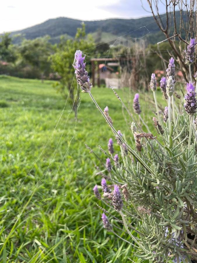 Recanto Das Flores São Tomé das Letras Bagian luar foto